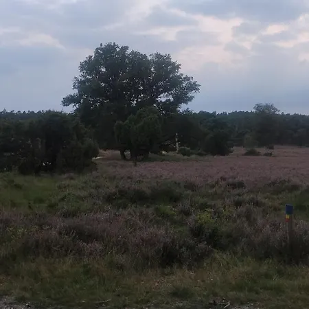 Szálloda Den Eikenboom *