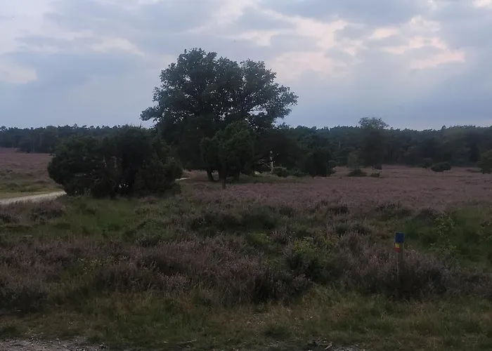 Szálloda Den Eikenboom *